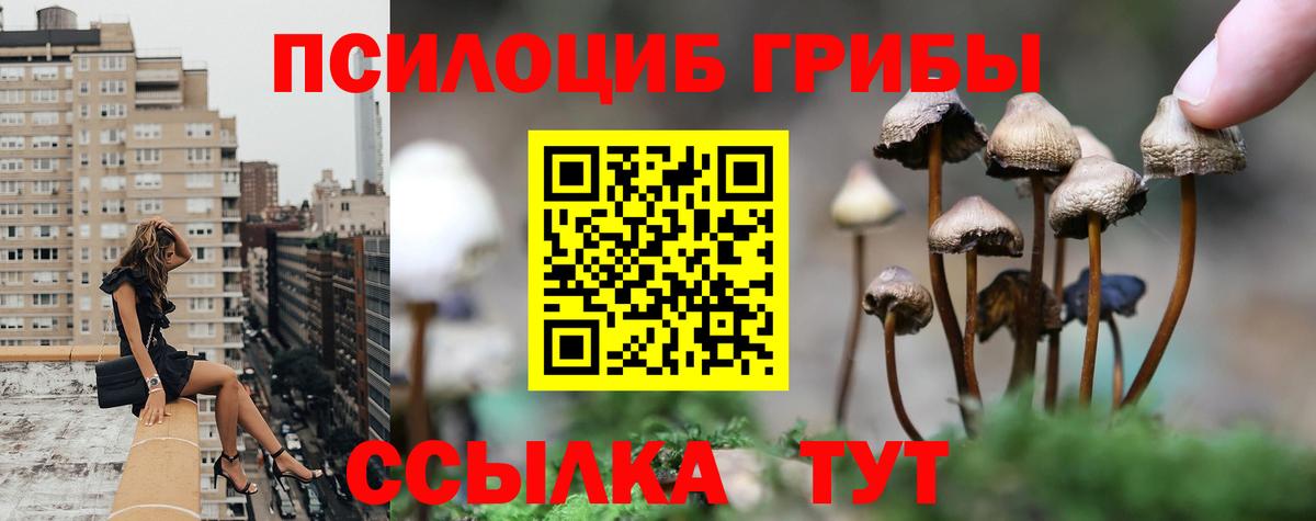 Псилоцибиновые грибы мухоморы Еманжелинск